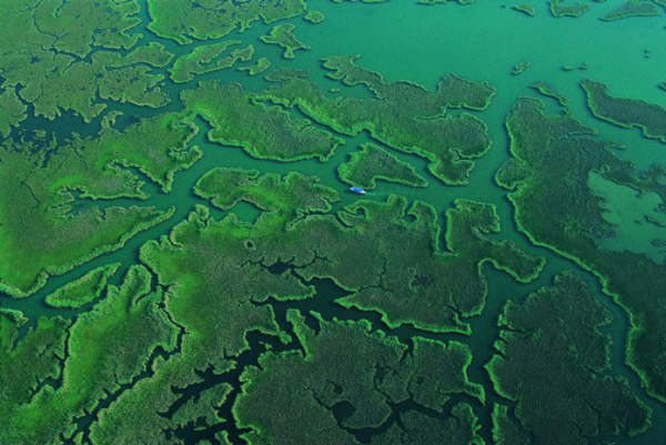 dalyan3.jpg
